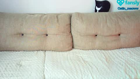 Ostin online show from February 25, 8:14 am