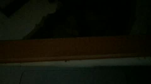 LaRocca online show from December 20, 3:35 am