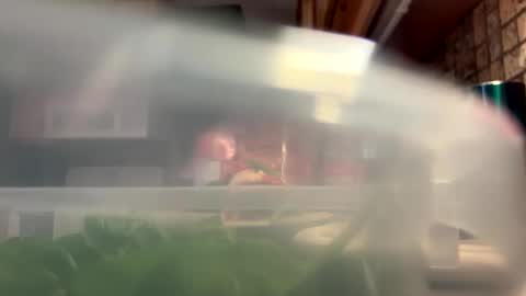 Snapshot of papaboner_foryourpleasure chatting on September 20, 9:15 pm PapaBoner online show from September 20, 9:15 pm