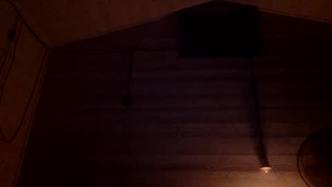 Pati24 online show from January 5, 1:03 am