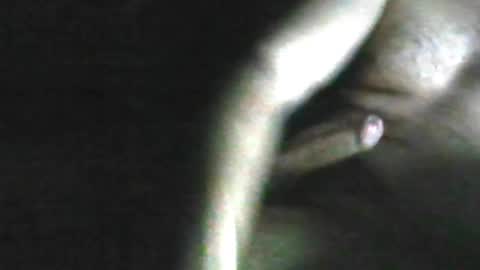 Paulo Oliveira online show from April 14, 5:51 am