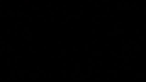 Paul online show from October 25, 7:04 pm