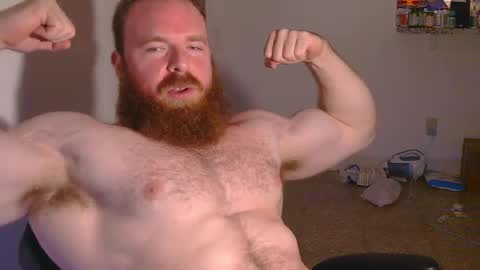 Pec inspector online show from February 3, 3:42 am