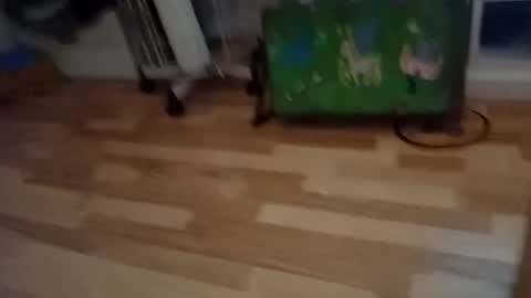 pepe_hard online show from March 2, 6:58 am