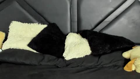 PeterColeman online show from March 1, 1:27 am