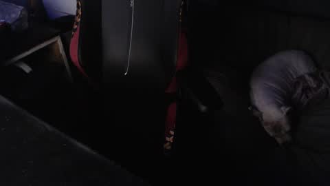 Snapshot of peterbeater2 chatting on February 21, 7:44 am peterbeater2 online show from February 21, 7:44 am