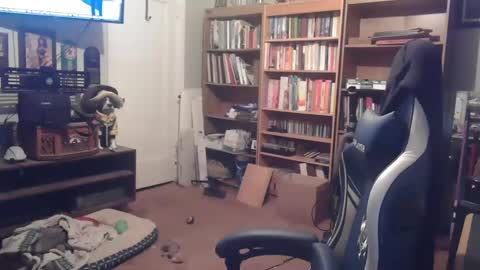 Snapshot of peterinohio57 chatting on October 22, 11:47 am peterinohio57 online show from October 22, 11:47 am