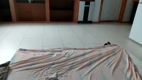 FRENCH BOY - PROPOSER DANS LE TCHAT... online show from November 17, 12:13 am