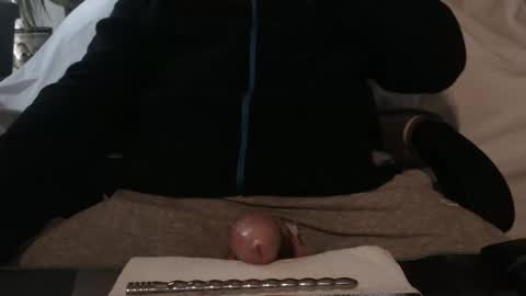 pferdefreund112 online show from November 19, 12:27 pm