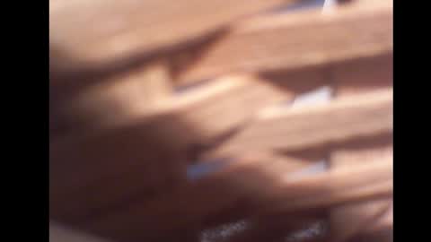 Paul online show from October 29, 9:40 pm