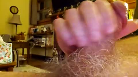 Phil online show from December 17, 4:34 am