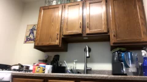 Phil online show from February 6, 7:29 pm