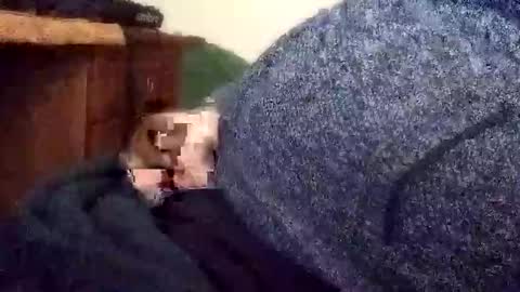 pierinolapeste1 online show from February 27, 10:53 pm