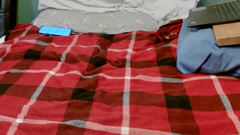 pinewoodman online show from February 24, 7:11 am