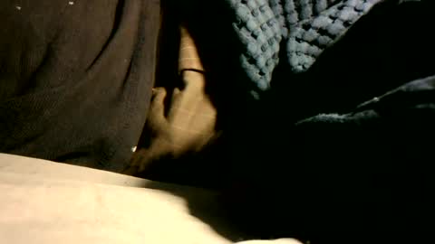 pisellonelargo online show from January 26, 12:05 am