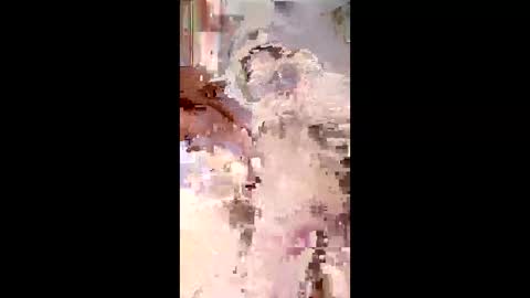 pitoloko73 online show from April 5, 9:39 am