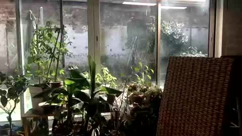 Snapshot of pl4yer__88 chatting on March 4, 12:55 pm pl4yer__88 online show from March 4, 12:55 pm