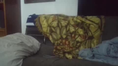 playerpleasure online show from October 11, 9:02 am