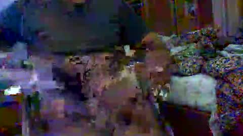 plu07f3520 online show from May 27, 1:57 am