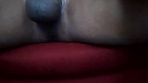 Polebee online show from February 28, 8:28 pm