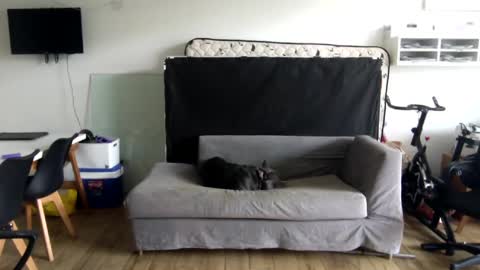 Snapshot of popopo00 chatting on January 28, 5:24 pm popopo0 online show from January 28, 5:24 pm