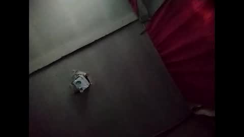 Potro770723 online show from November 20, 10:14 am