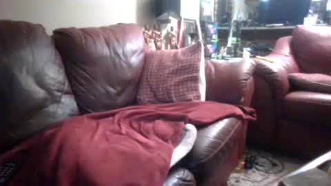 Snapshot of probody chatting on September 14, 2:19 pm MUSCLEGOD online show from September 14, 2:19 pm