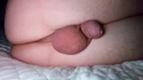 ptut82 online show from November 22, 8:36 am