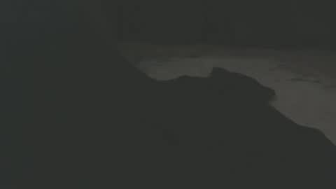 public_train online show from April 15, 11:04 pm