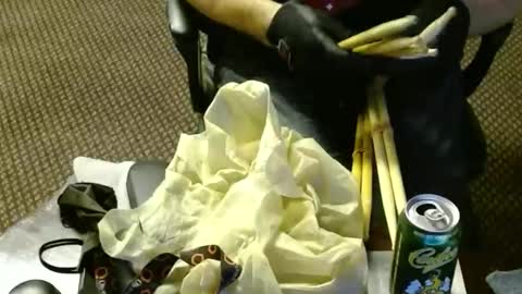 Jojo online show from November 9, 10:52 am