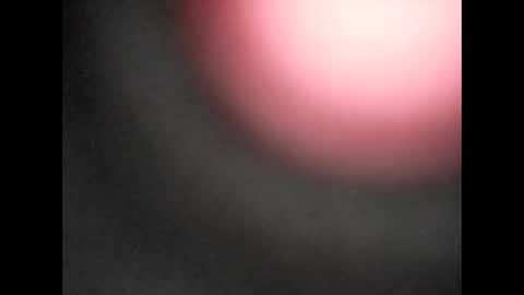 Bart online show from January 11, 12:31 pm