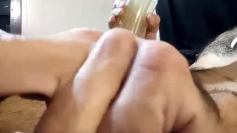 Pussyluver420 online show from September 22, 6:18 pm