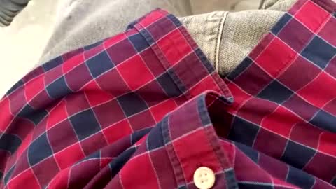 rad2615782 online show from February 10, 10:20 am