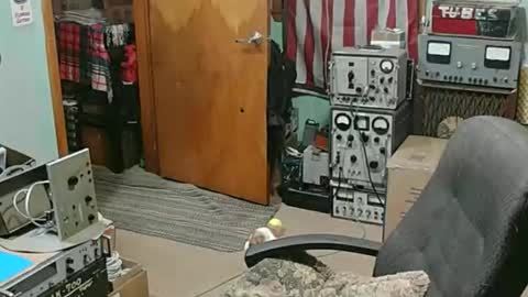 Randall online show from January 18, 3:19 am