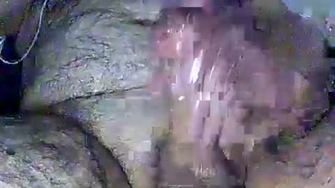 Rasit Adanali online show from March 8, 3:54 am