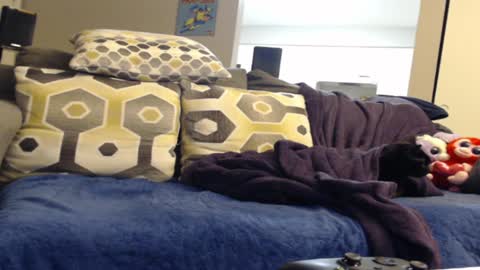 Sunshine Ray online show from January 5, 10:50 pm