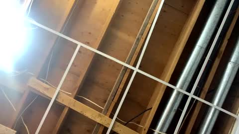 Mr Nice online show from January 4, 11:33 am