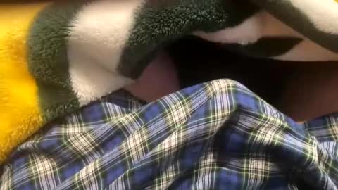 Snapshot of realbigload77 chatting on October 22, 12:31 pm realbigload77 online show from October 22, 12:31 pm