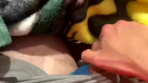 Snapshot of realbigload77 chatting on October 11, 2:37 am realbigload77 online show from October 11, 2:37 am