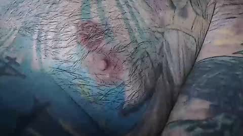 realrubpirate online show from February 10, 9:25 am