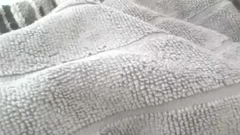 redwhiteblue_24 online show from July 6, 9:50 am