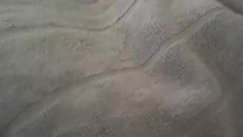redwhiteblue_24 online show from June 9, 10:00 pm