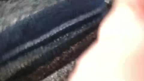 richarder7 online show from April 15, 2:28 pm