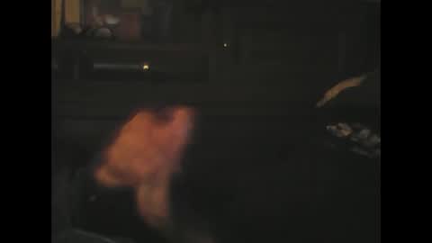 rlpl online show from November 23, 2:28 pm