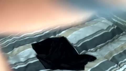 Snapshot of rob616580 chatting on September 16, 2:07 pm rob616580 online show from September 16, 2:07 pm