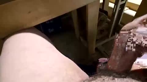 robbiebob6828 online show from January 8, 10:59 pm