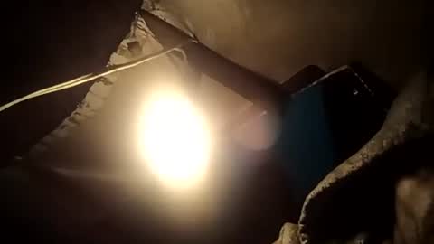 R online show from September 24, 9:52 am