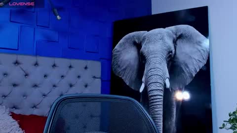 rocco_santos online show from September 10, 5:50 am