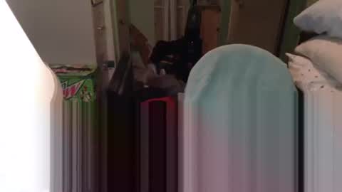 rocky082288 online show from February 20, 10:27 am