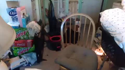 rocky082288 online show from January 9, 1:24 pm